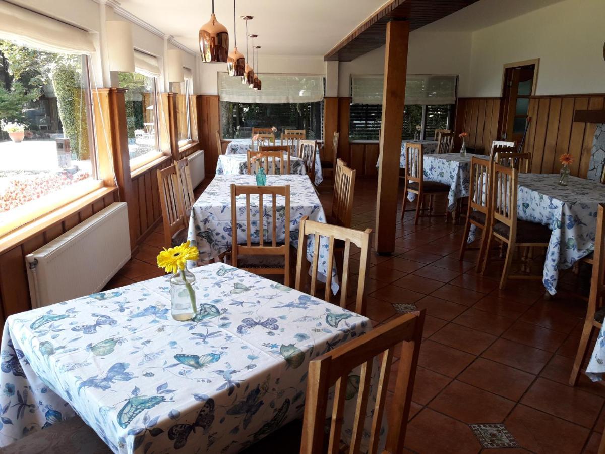 Hotel Y Cabanas El Parque Villarrica Eksteriør bilde