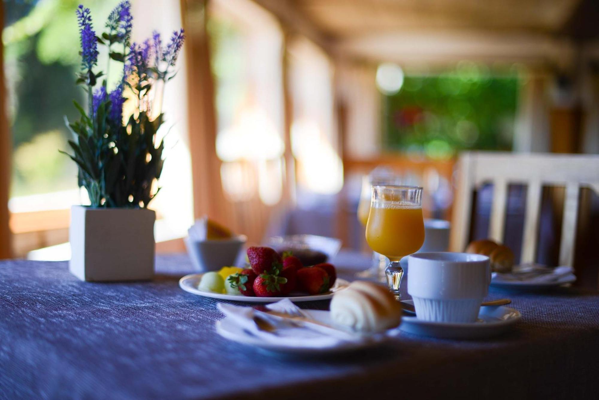 Hotel Y Cabanas El Parque Villarrica Eksteriør bilde
